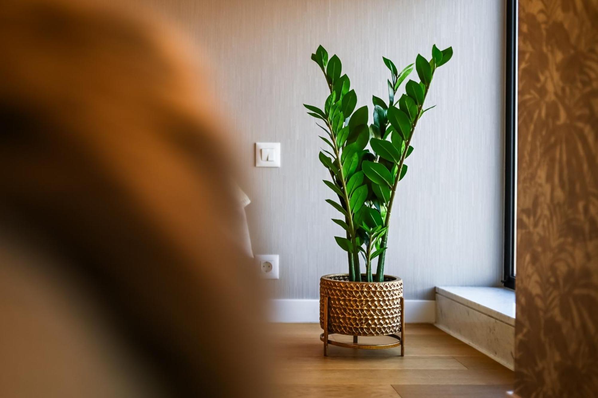 One Verdi Park Exclusive Apartments - Panoramic View & Private Parking Bucharest Bilik gambar